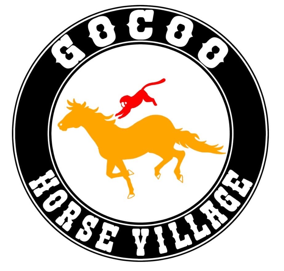 有限会社STUNT JAPAN　採用サイト